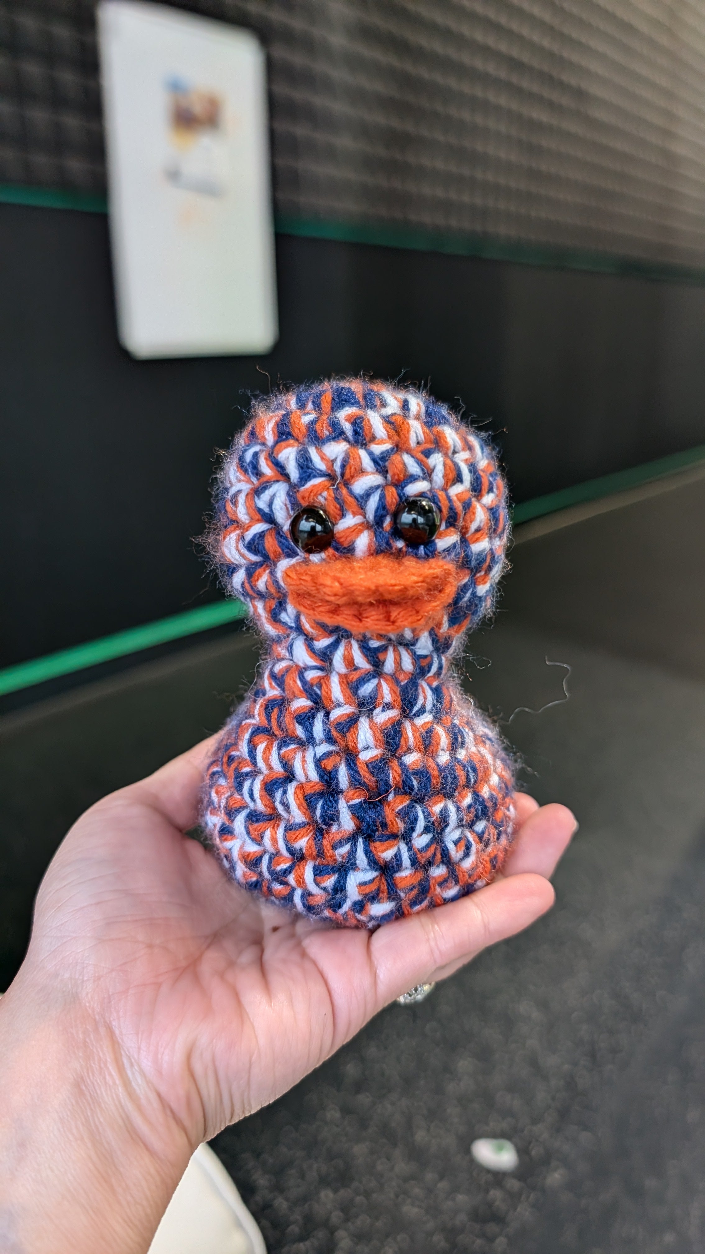 Chicago Duck