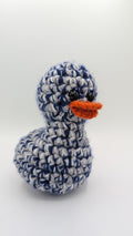 Dallas Duck