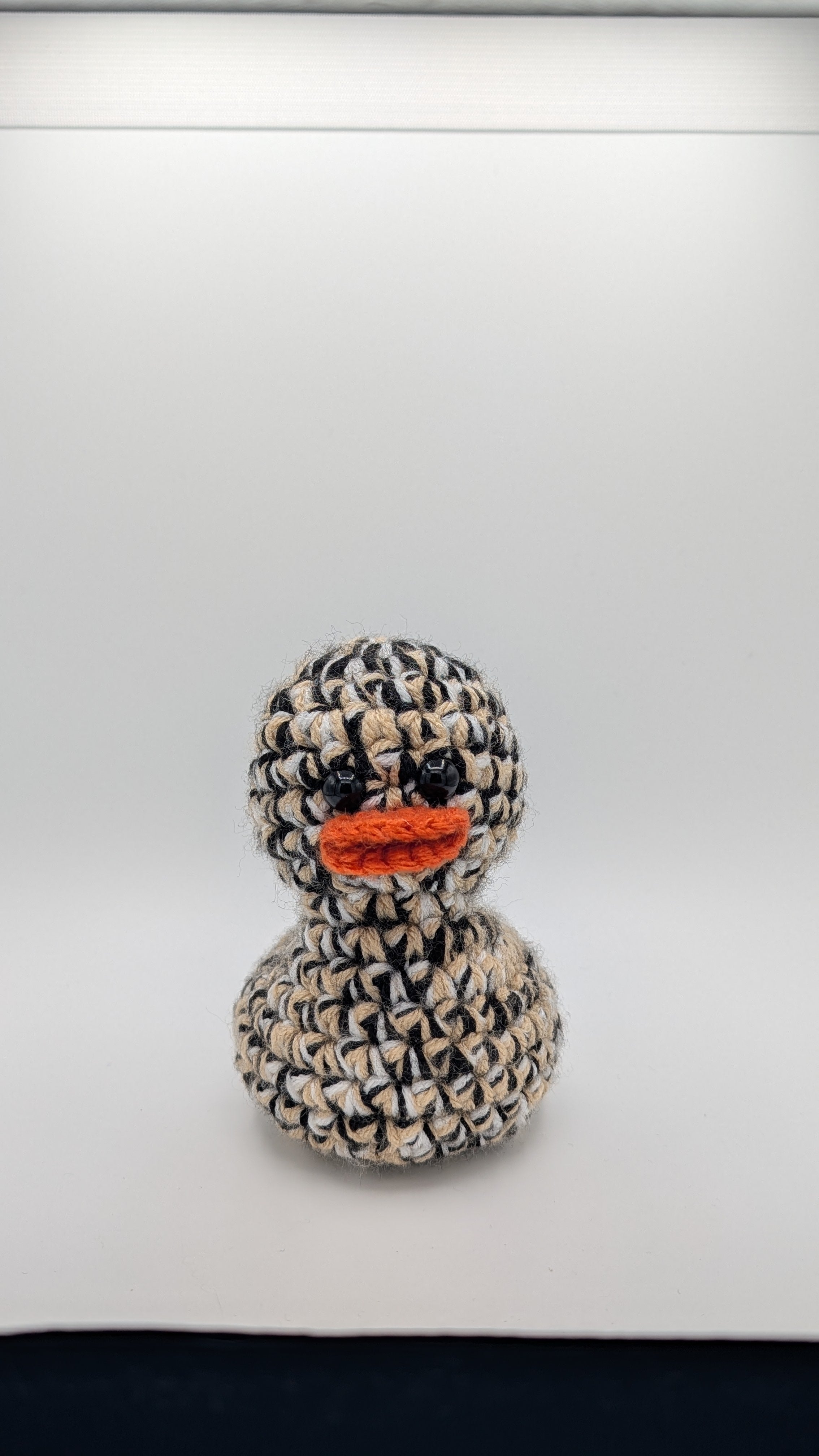 New Orleans Duck