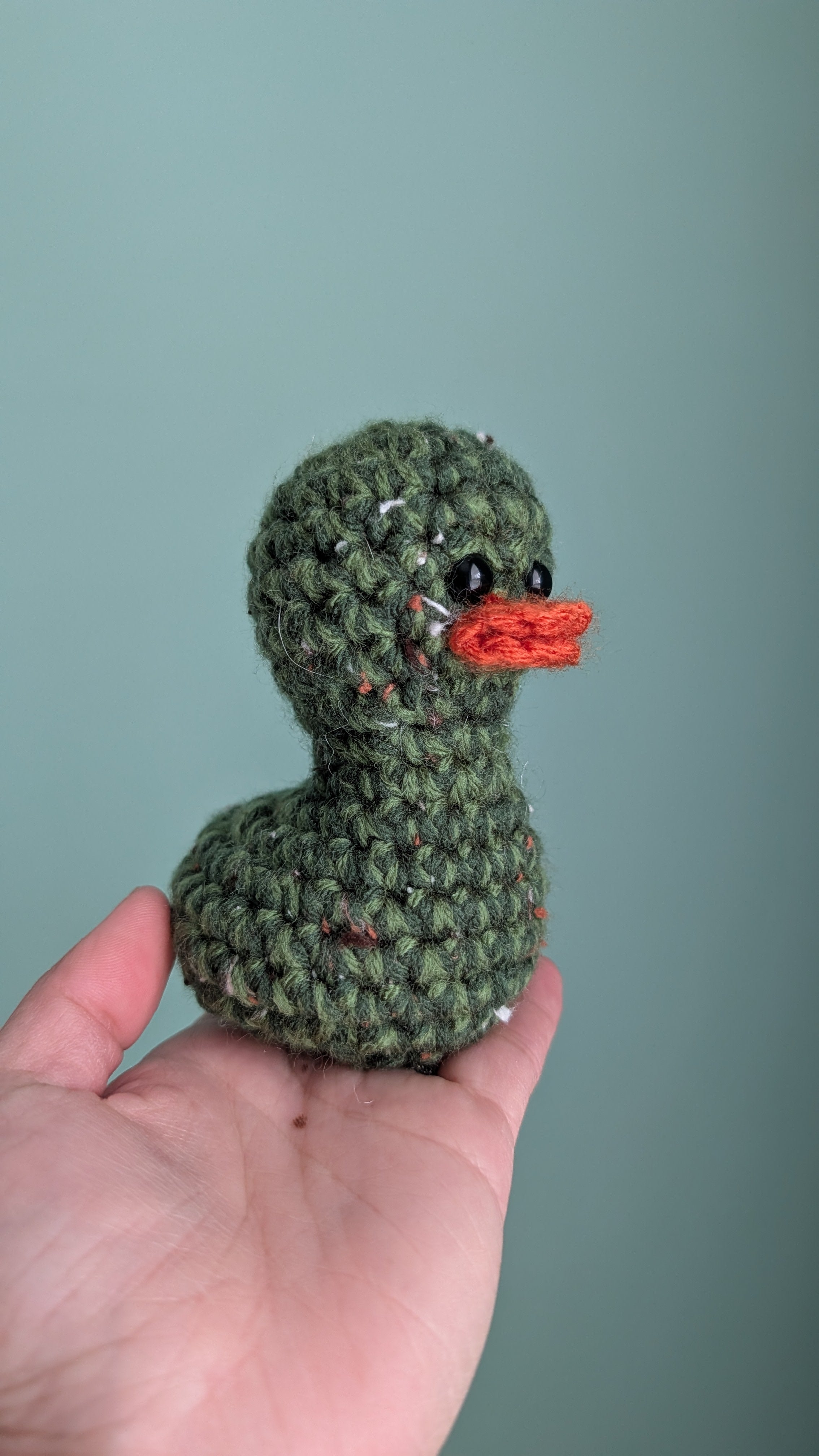 Forest Duck