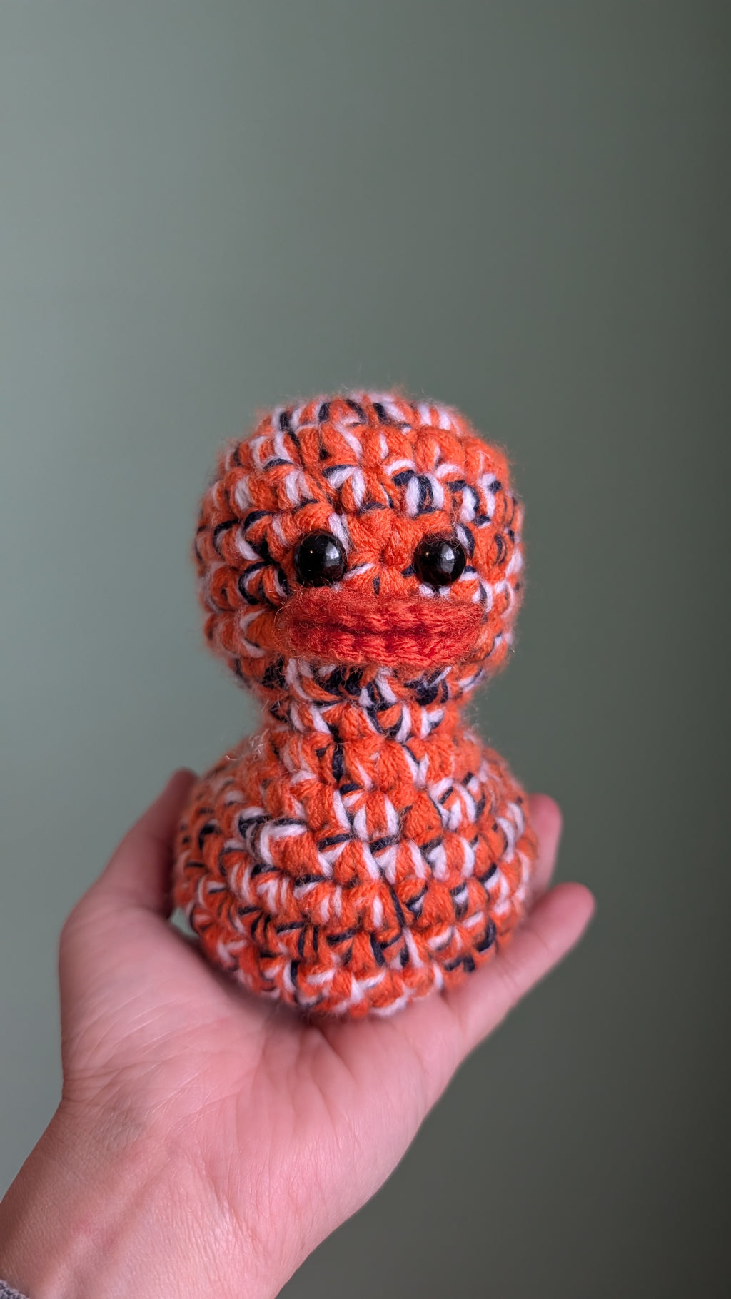 Denver Duck