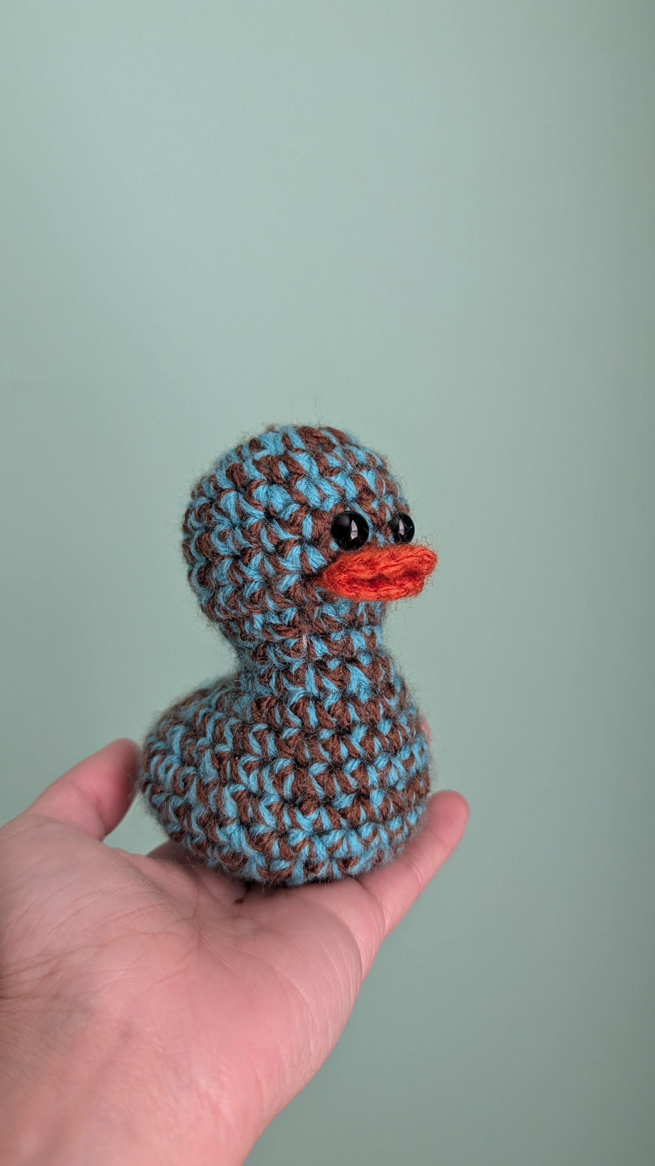 Brown & Teal