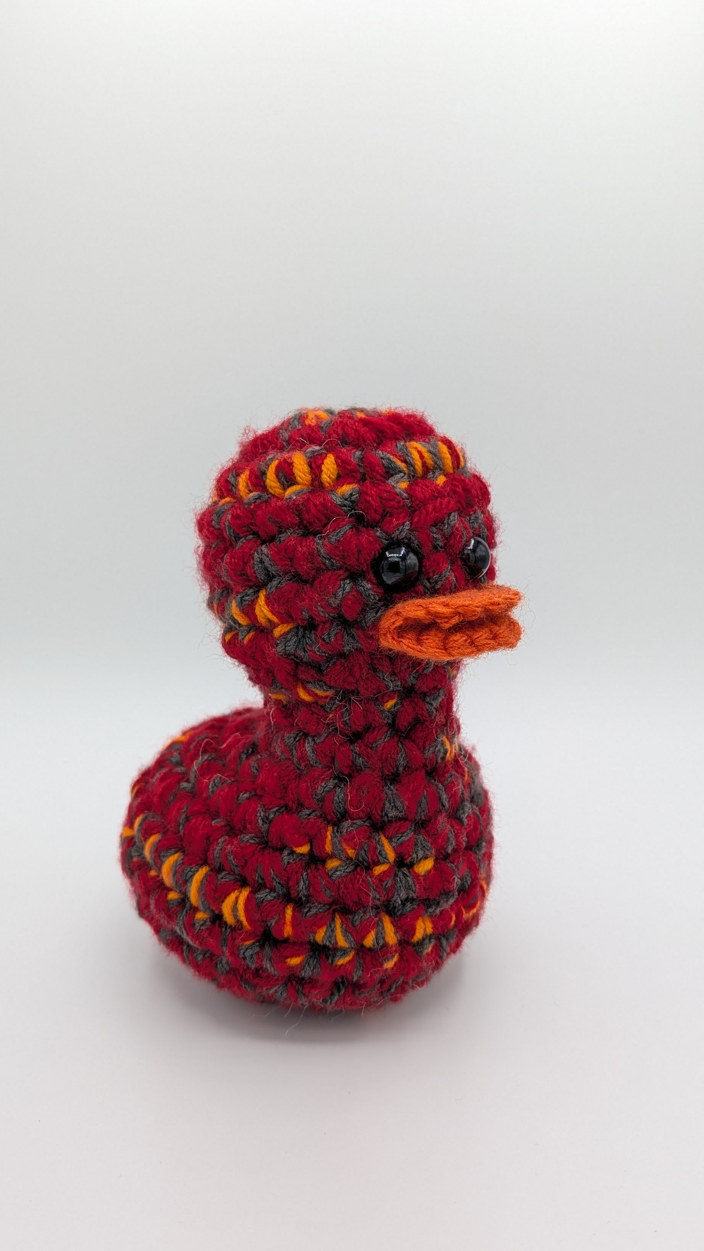 Tampa Bay Duck