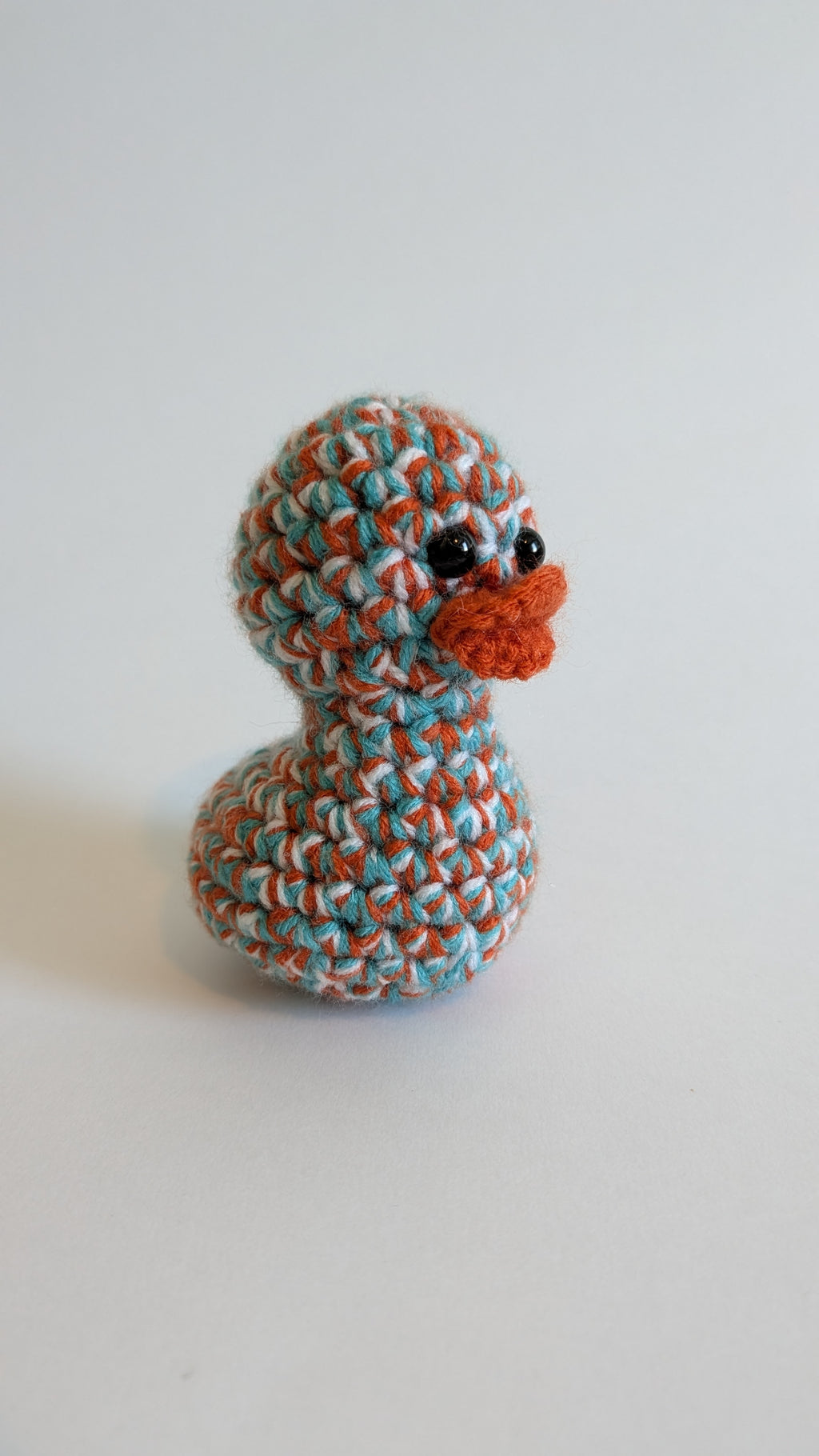 Miami Duck