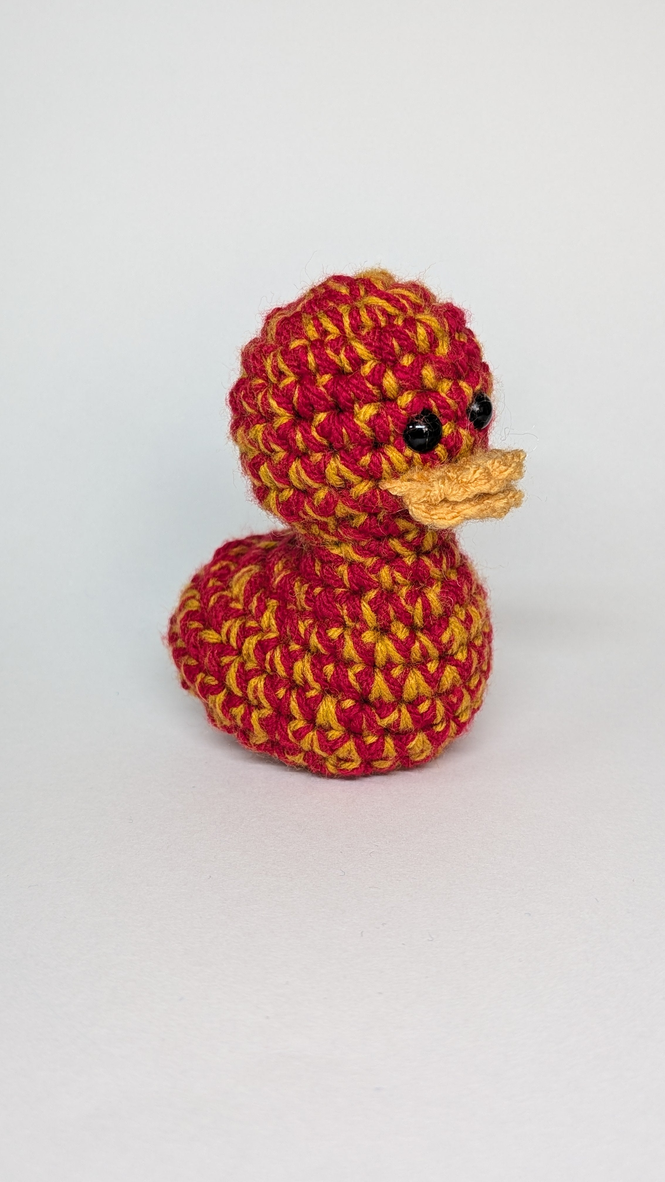 House Ducks