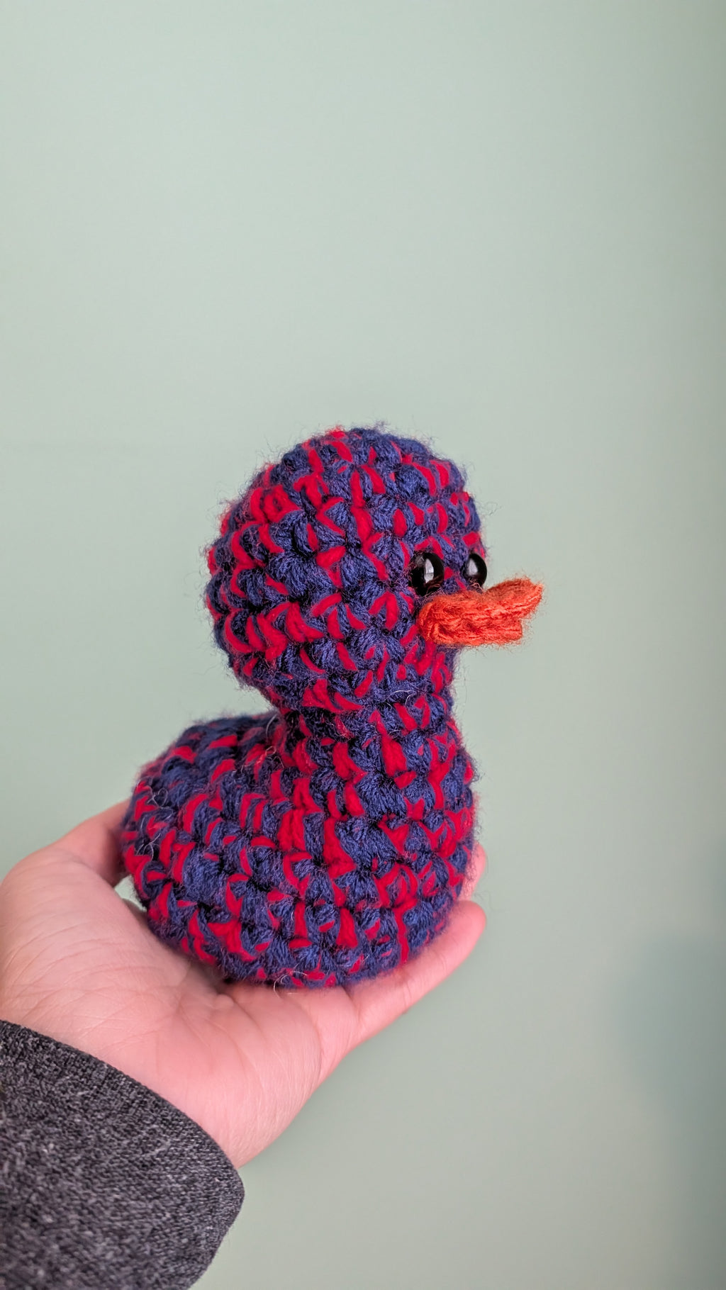Houston Duck
