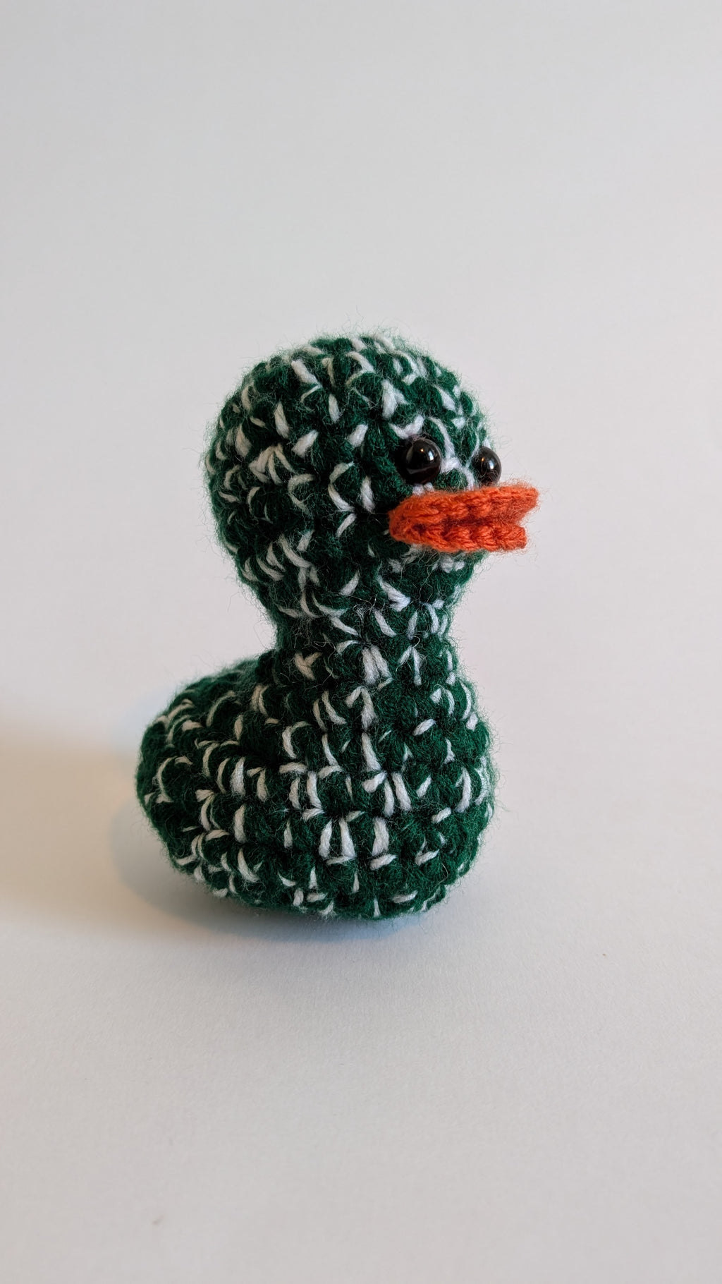New York Green & White Duck