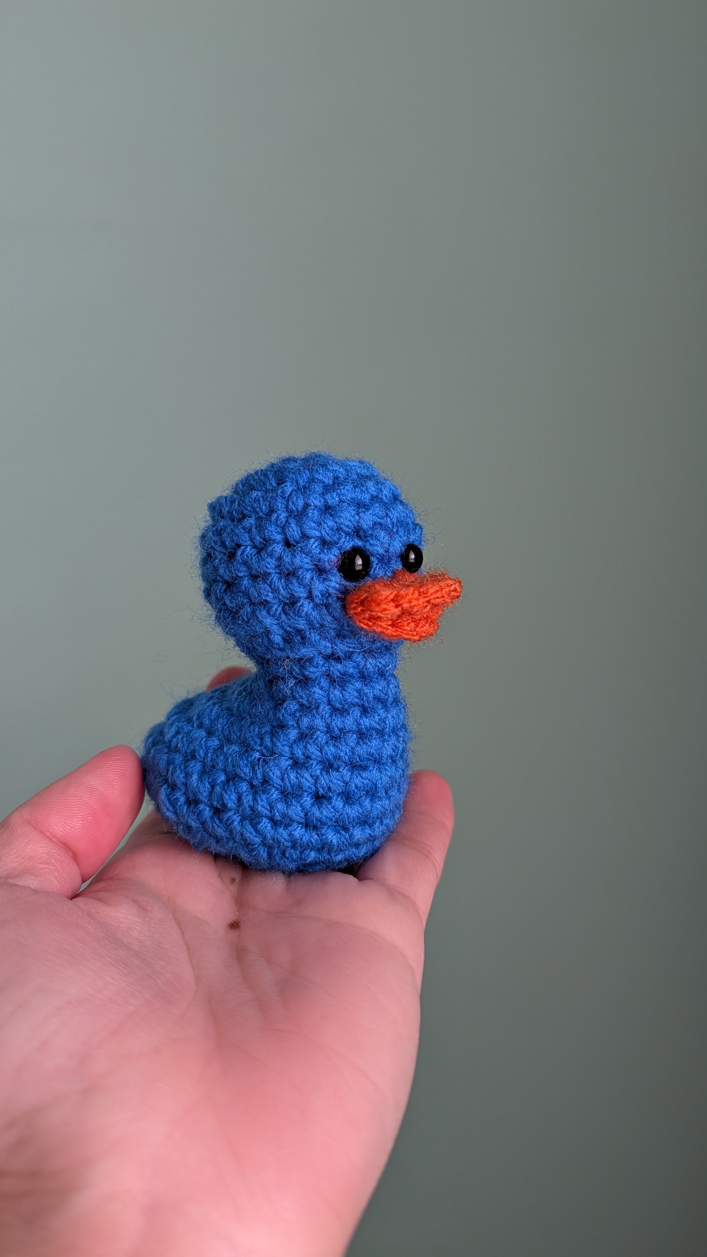 Mini Duck Keychains
