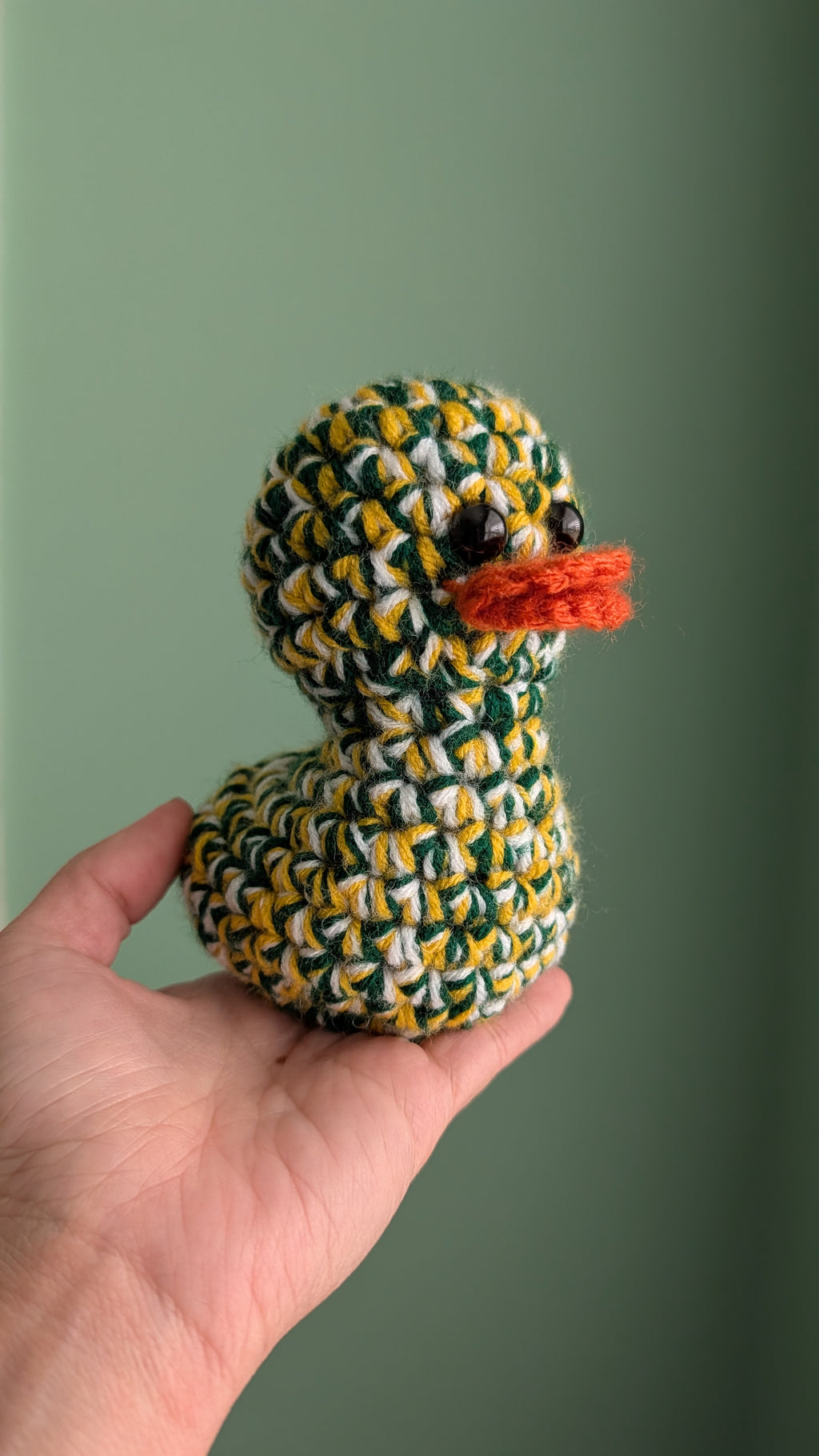 Green Bay Duck
