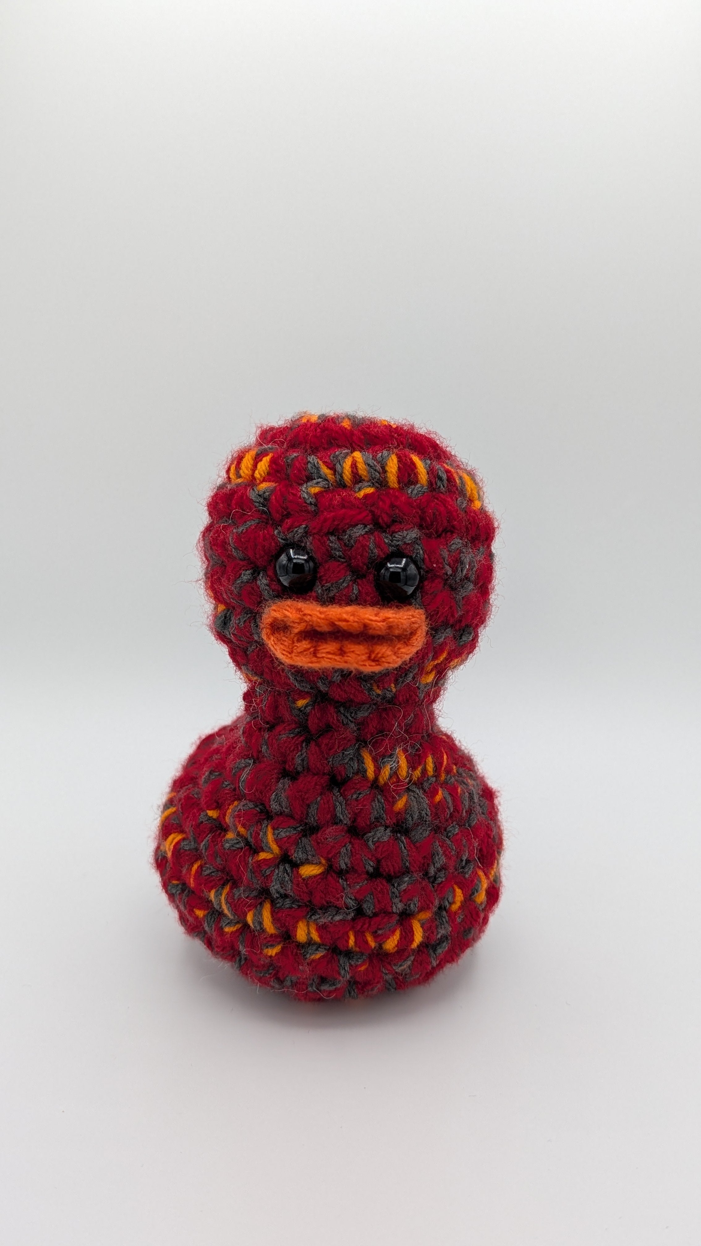 Tampa Bay Duck