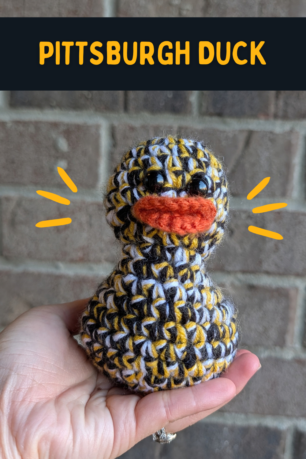 Pittsburgh Duck
