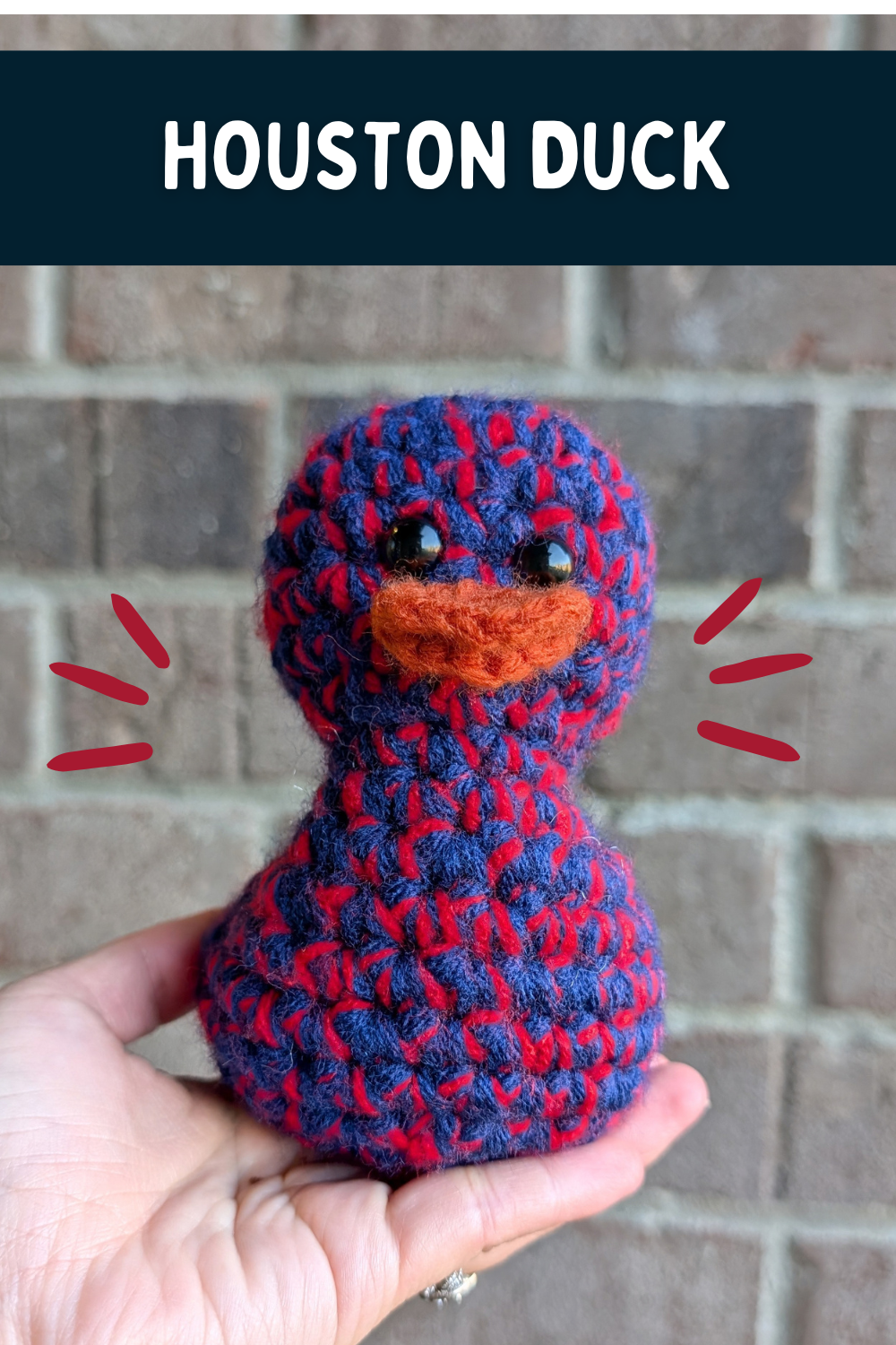 Houston Duck