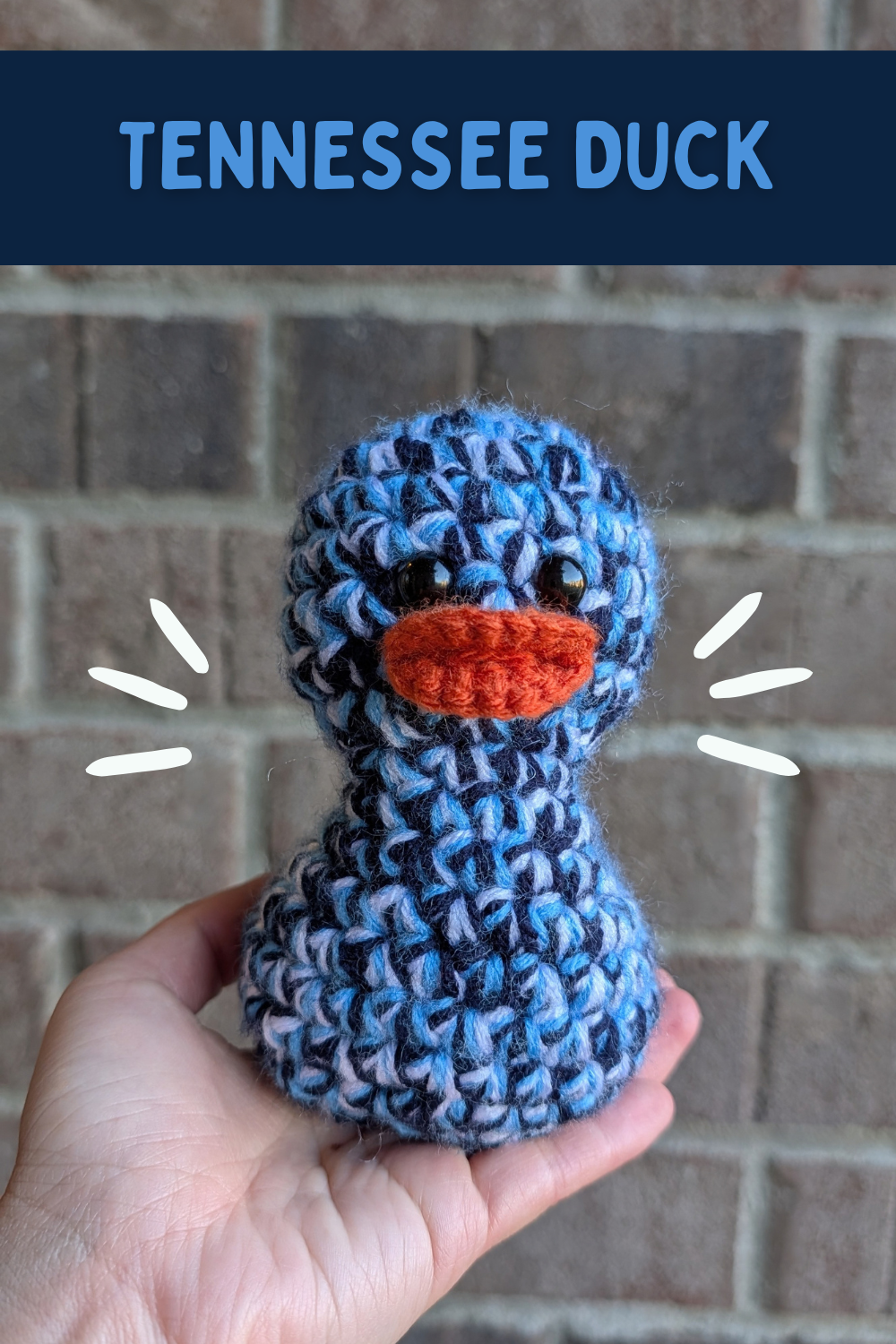 Tennessee Duck