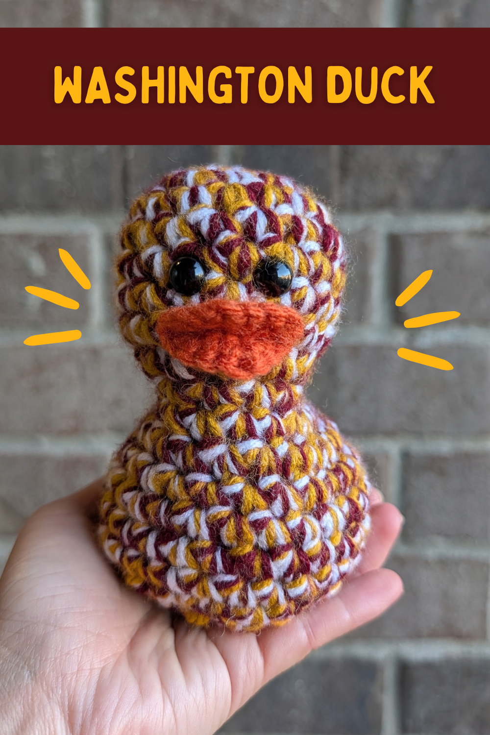 Washington Duck
